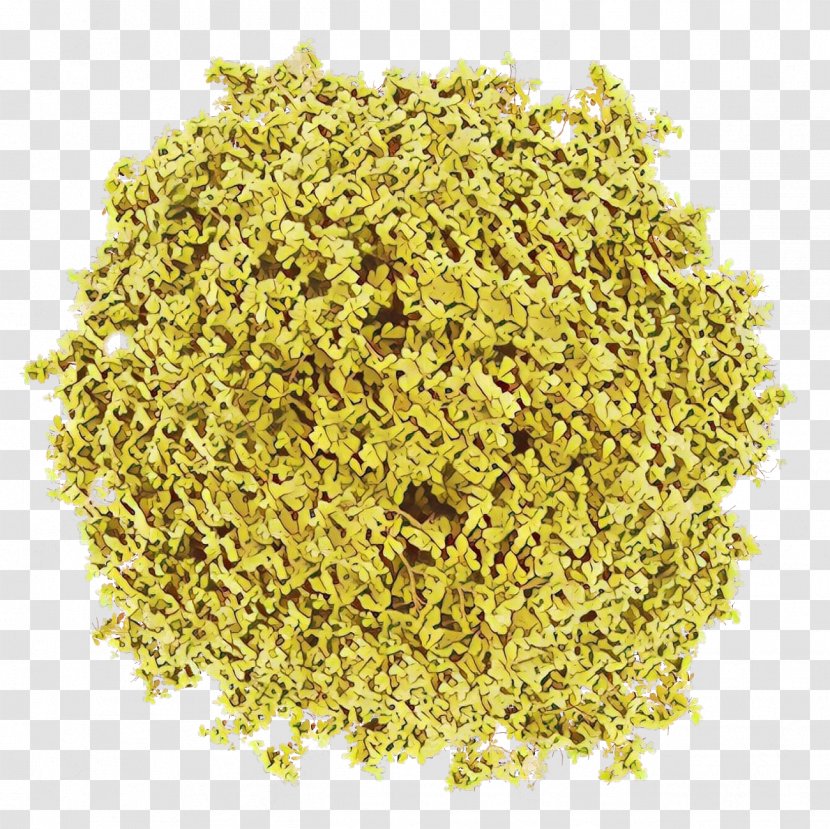 Plant Food Celery Salt Ingredient Cuisine - Coriander Seasoning Transparent PNG