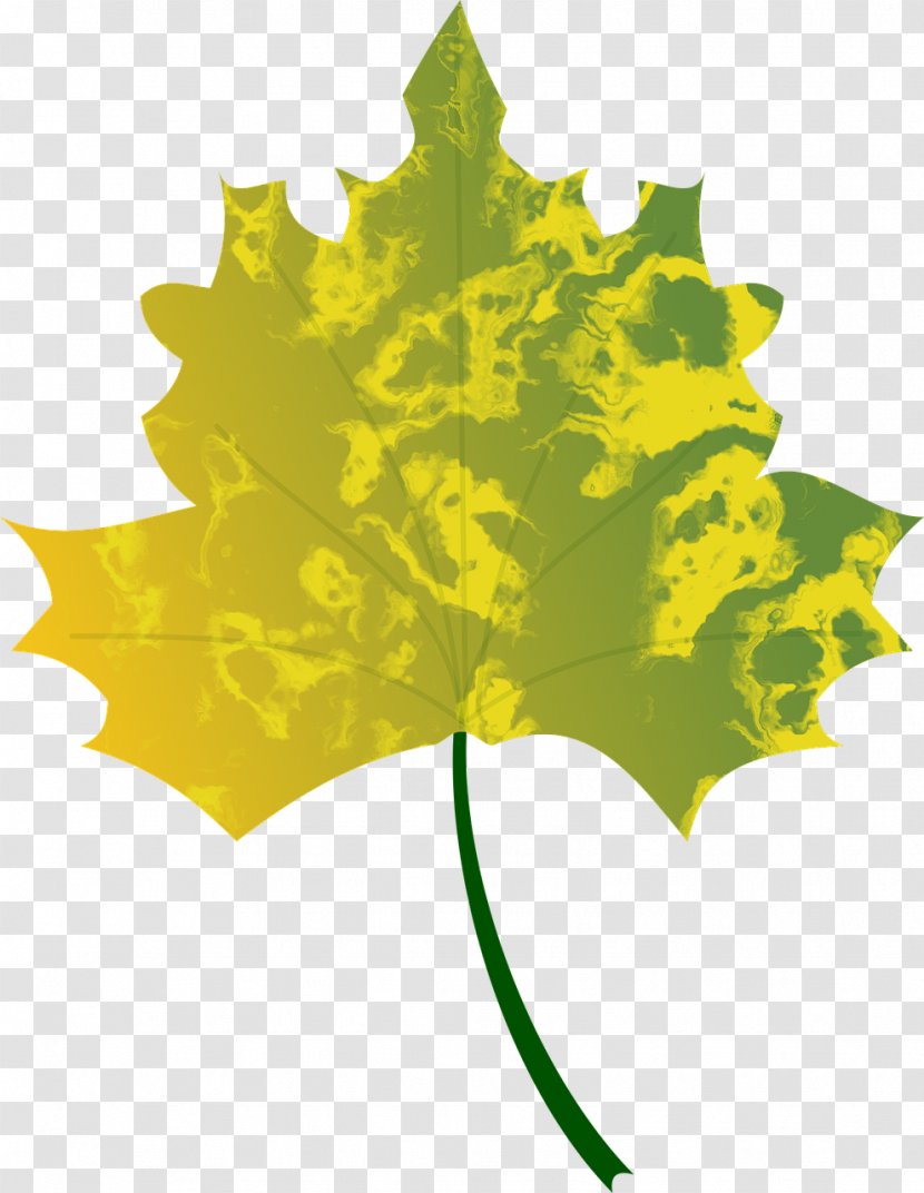 Autumn Leaf Color Maple Tree - Symmetry Transparent PNG