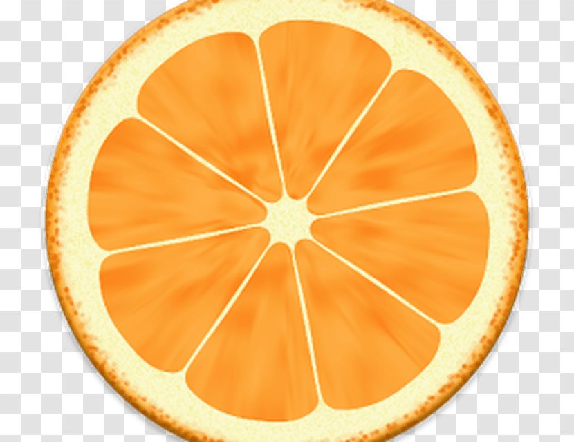 Desktop Wallpaper Drawing Orange Image - Fruit Transparent PNG