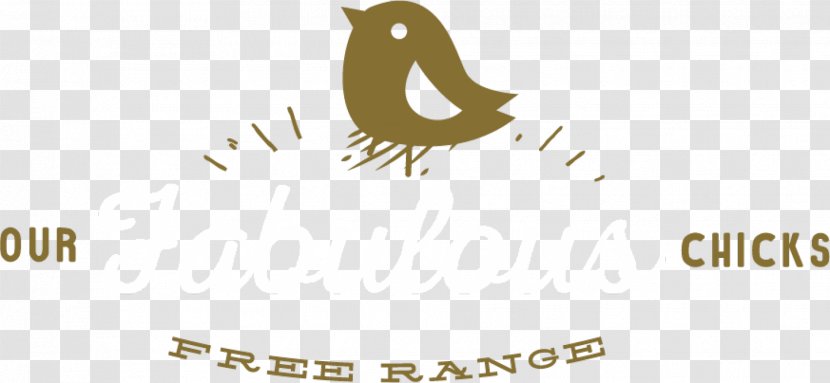 Free-range Eggs Leghorn Chicken Free Range Organic Egg Production - Text Transparent PNG