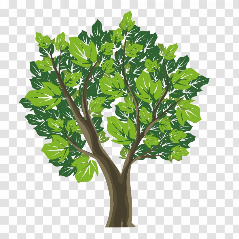 Vector Graphics Stock Photography Illustration Image Royalty-free - Green - Colored Trees Transparent PNG
