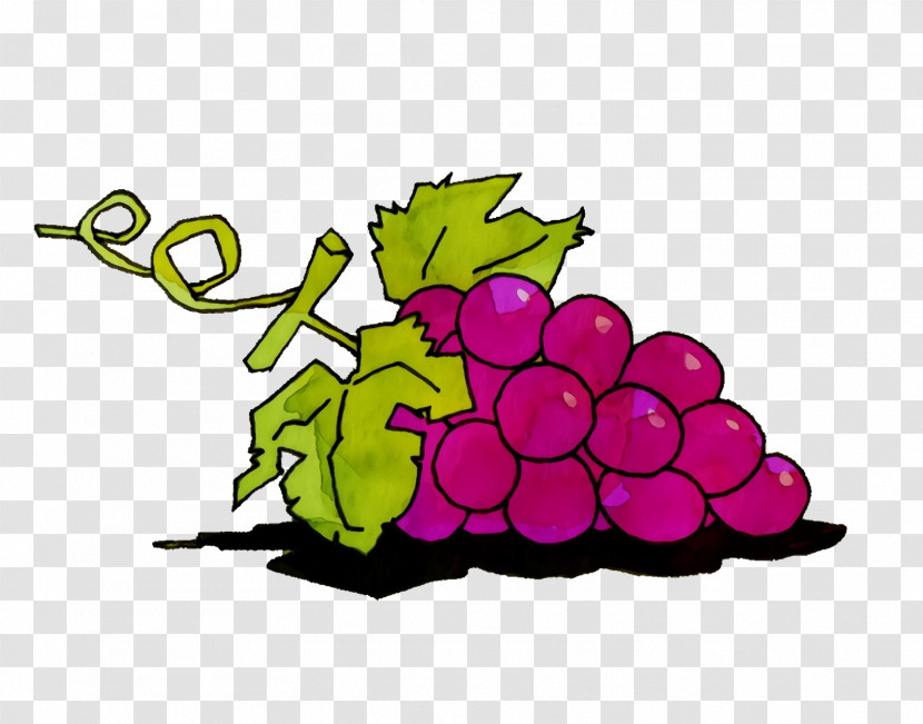 Grape Leaf M-tree Purple Meter Transparent PNG