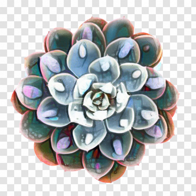 Cactus Cartoon - Ghostplant - Petal Plant Transparent PNG