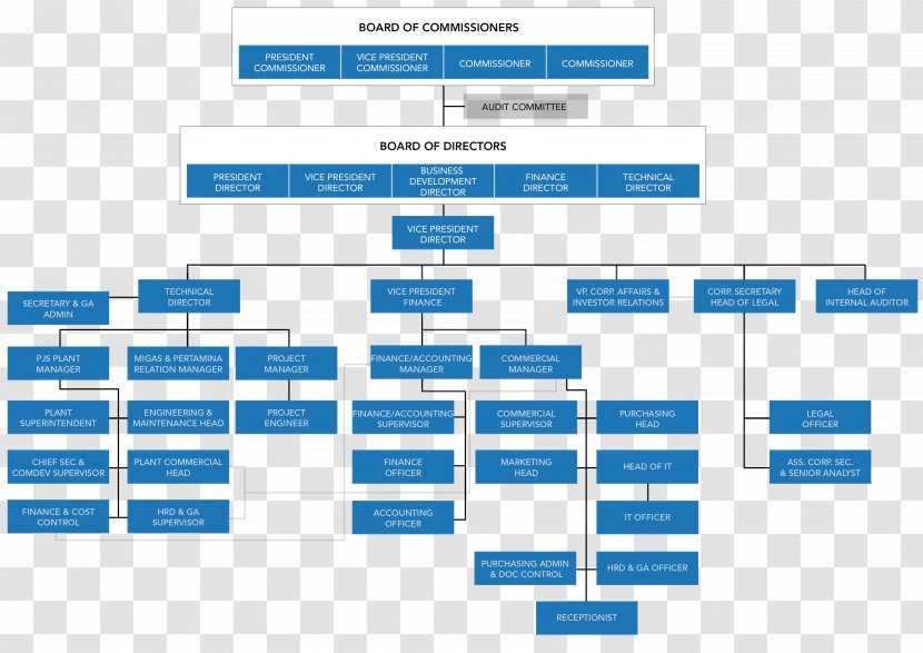 Hierarchical Organization Diagram Corporate Structure Corporation ...