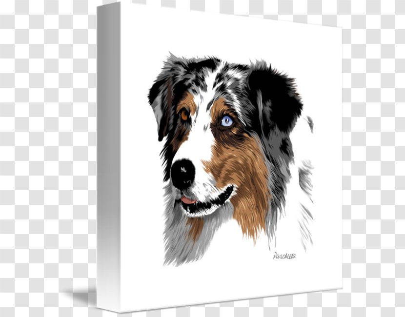 Australian Shepherd Dog Breed English German Cattle Transparent PNG