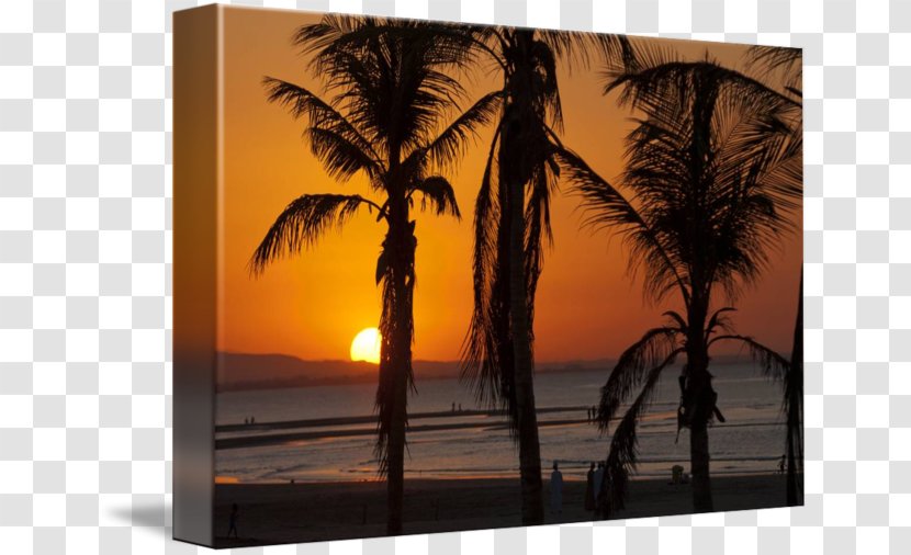 Coconut Arecaceae Gallery Wrap Picture Frames Sunset - Printing Transparent PNG