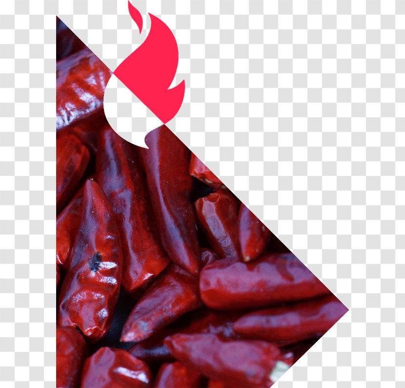 Piquillo Pepper Chile De árbol Piri Sujuk Chili - Flower - Sausage Transparent PNG