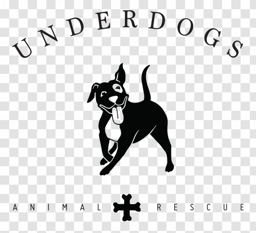 Boston Terrier Cat Clip Art Desktop Wallpaper Animal Rescue Group - Dog Breed Transparent PNG