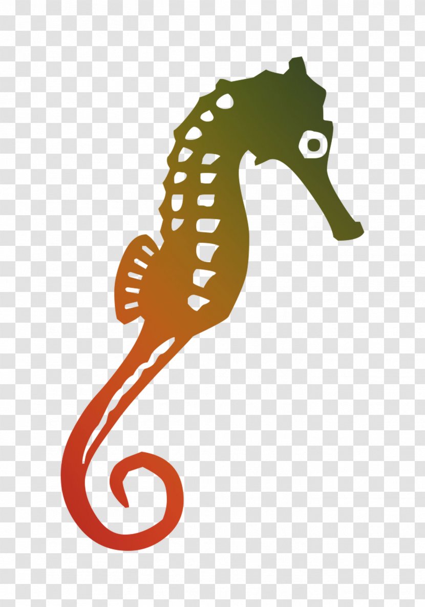 Seahorse Clip Art Graphics Image Illustration - Northern - Rayfinned Fish Transparent PNG