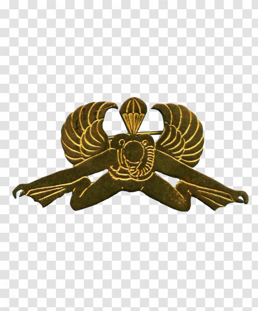 01504 Insect Symbol Membrane - Brass - Afrika Korps Transparent PNG