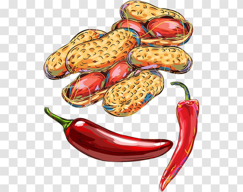 Chili Pepper Food Bell Fruit Paprika - Dry Chilli Transparent PNG