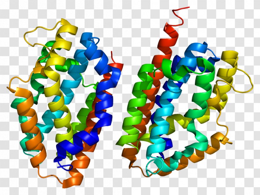 Heme Oxygenase HMOX2 HMOX1 Enzyme - Flower - Tree Transparent PNG