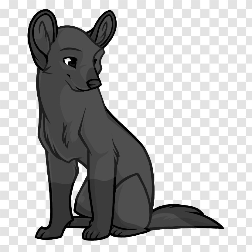 Whiskers Dog Cat Bear Marsupial - Mammal Transparent PNG