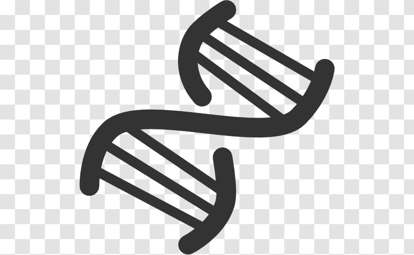 DNA Nucleic Acid Double Helix ICO Icon - Ico - Dna Clipart Transparent PNG