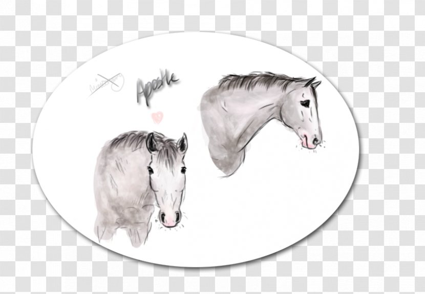 Pony Mustang Halter Mane Pack Animal - Horse Supplies Transparent PNG