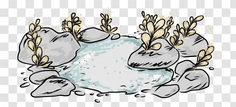 Carnivora Amphibian Drawing Clip Art - Cartoon Transparent PNG