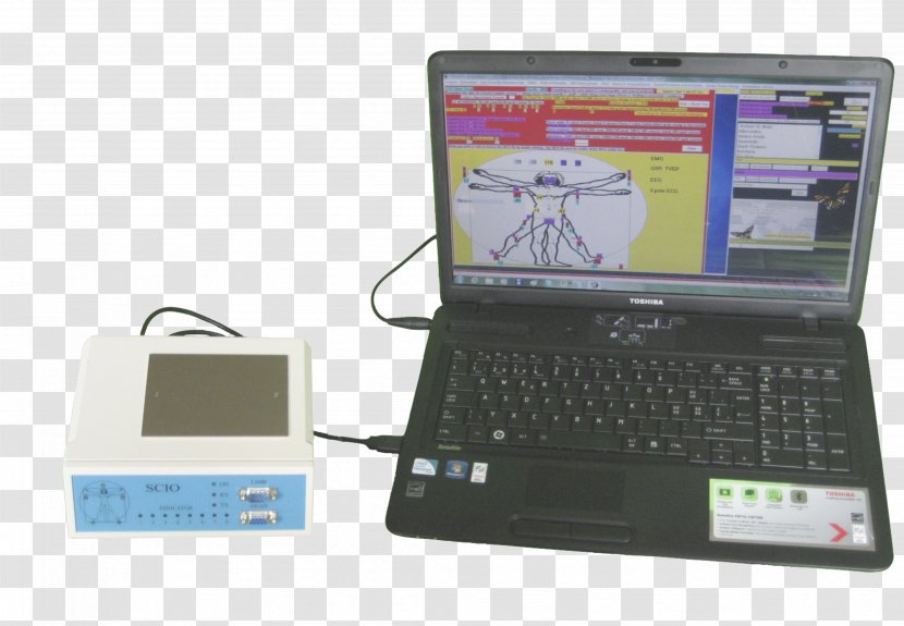 Netbook Laptop Computer Hardware Display Device Input Devices - Monitors Transparent PNG