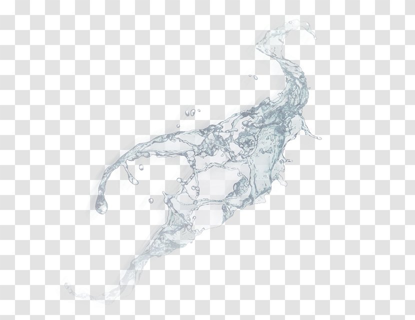 Drawing Water /m/02csf Organism Transparent PNG
