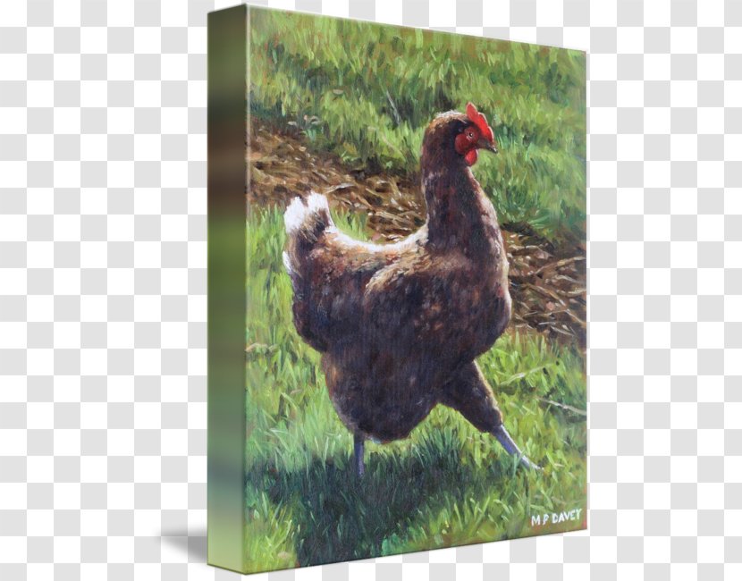 Rooster Chicken Printing Oil Painting Reproduction - Paint - In Pasture Transparent PNG