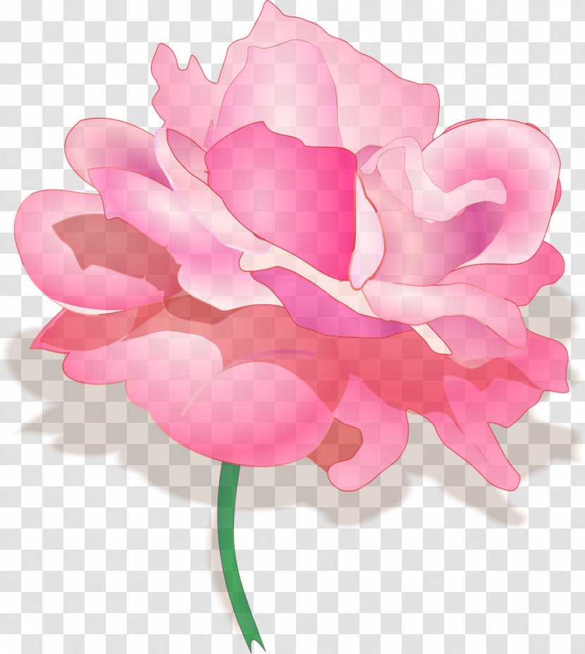 Pink Petal Flower Plant Clip Art - Peony - Cut Flowers Flowering Transparent PNG