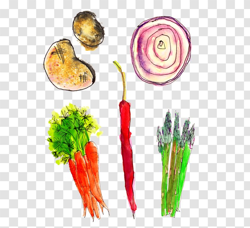 Natural Foods Diet Food Superfood Local - Organism - Vegetable Sketch Transparent PNG