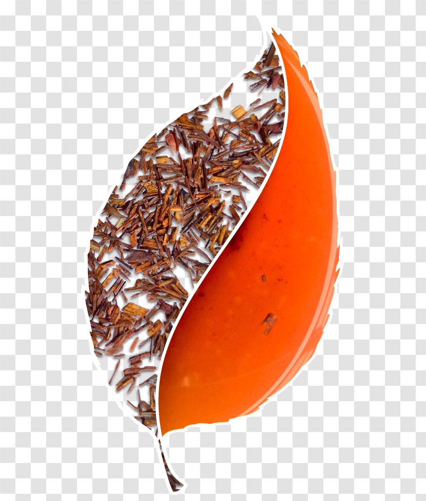 Leaf - Orange - Tea Leaves Transparent PNG