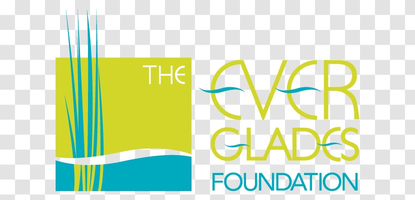 Everglades Foundation Florida Bay Palm Beach County - Organization - Logo Transparent PNG