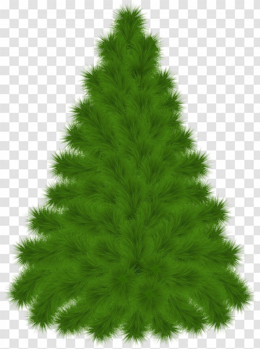 Pine Tree Clip Art - Grass - Clipart Picture Transparent PNG