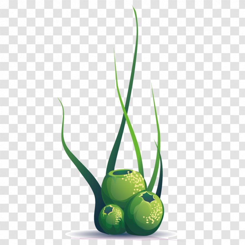 Plant Ball Euclidean Vector - Green - Spherical Marine Plants Transparent PNG