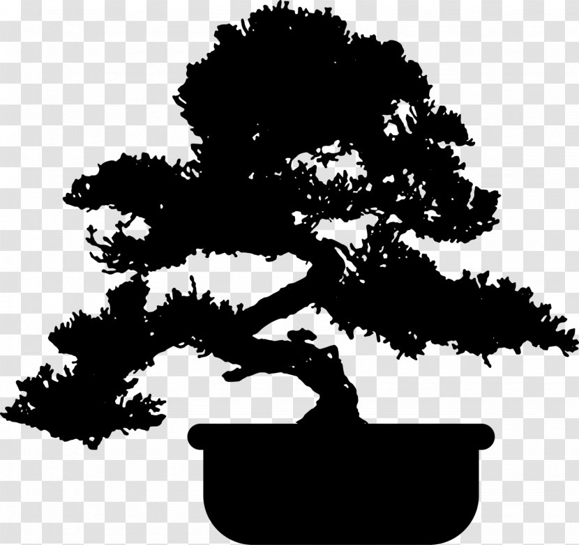 Popular Bonsai Pinus Thunbergii Chinese Sweet Plum Beautiful - Ornamental Plant - Tree Transparent PNG