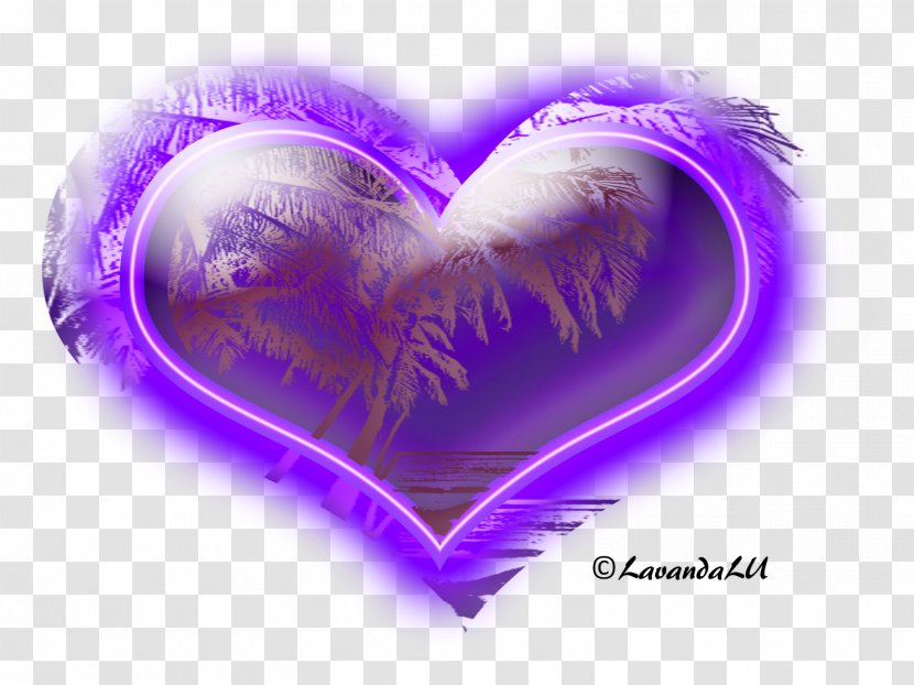 Lavender Lilac Violet Purple Love - Lavanda Transparent PNG