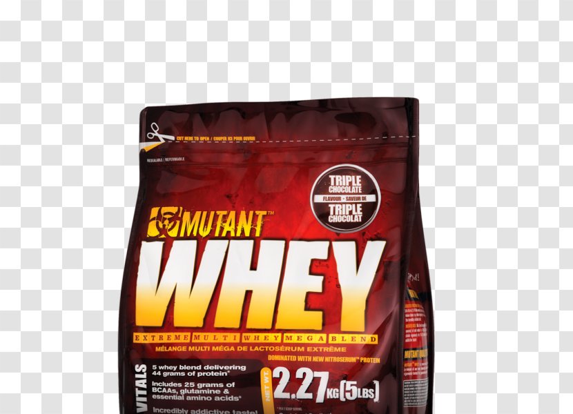 Dietary Supplement Whey Protein Isolate - Sports Nutrition - Maximal Transparent PNG