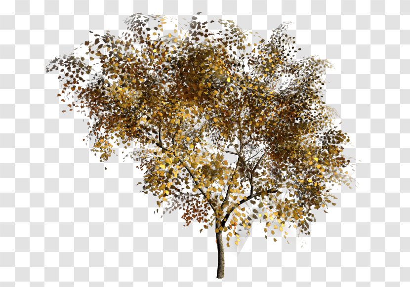 Tree Twig Painting - Dressoir Transparent PNG