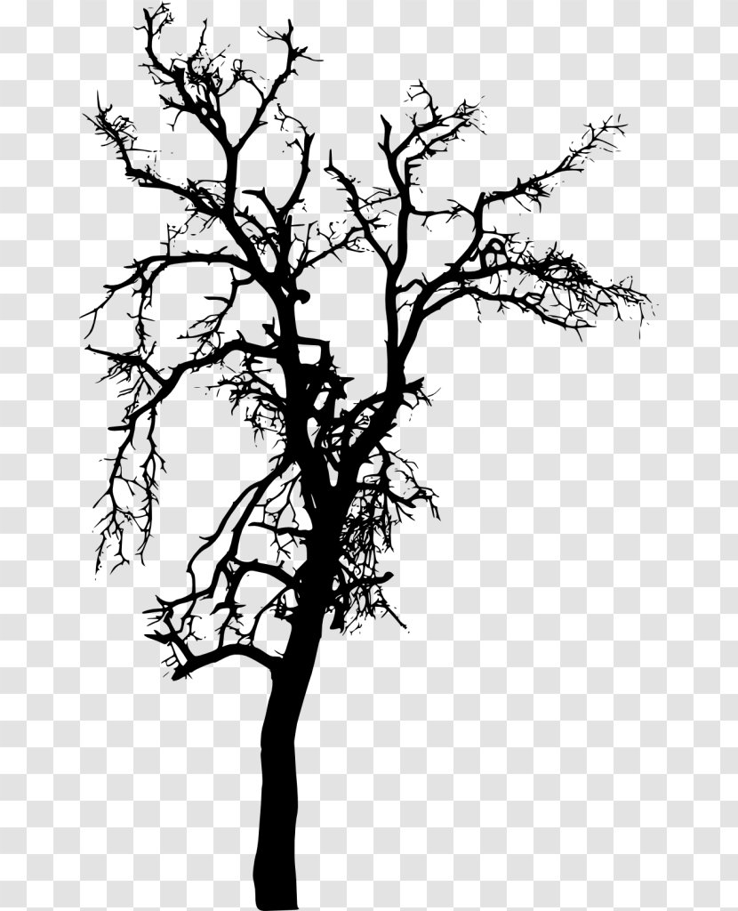 Twig Silhouette Tree - African Trees Transparent PNG