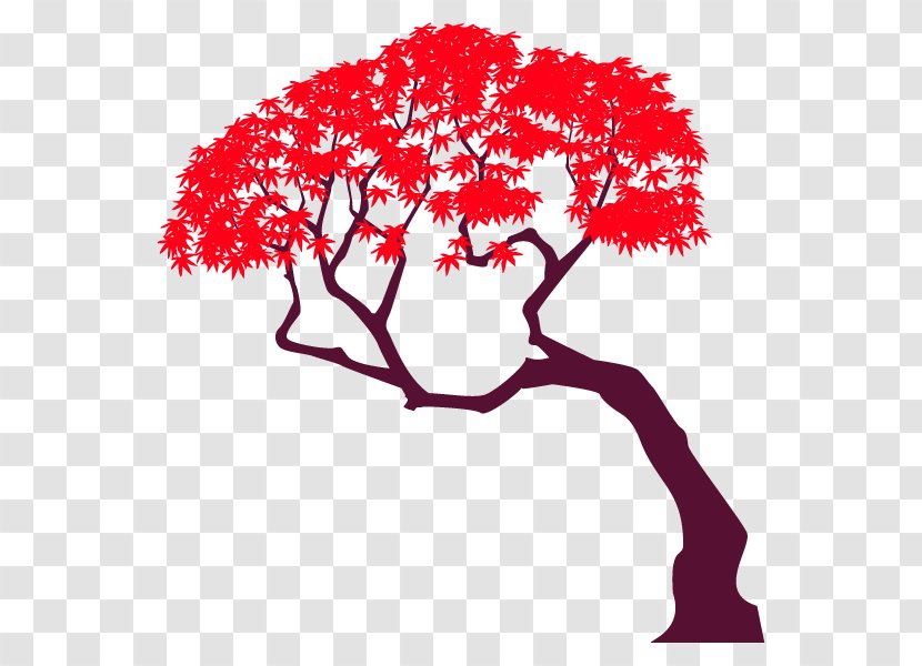 Branch Autumn Leaf Color Maple Illustration Tree - Flower Transparent PNG