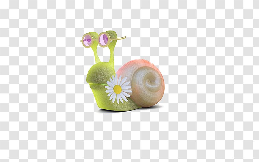 Snail Gastropod Shell - Threedimensional Space - Beautiful Transparent PNG