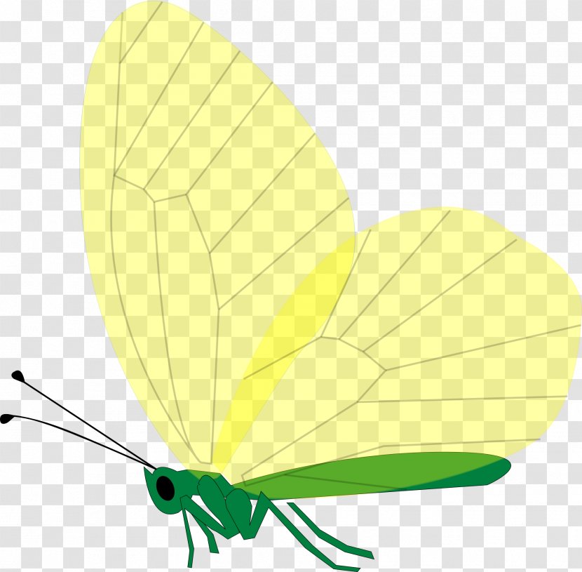 Butterfly Pastel Clip Art - Moths And Butterflies Transparent PNG