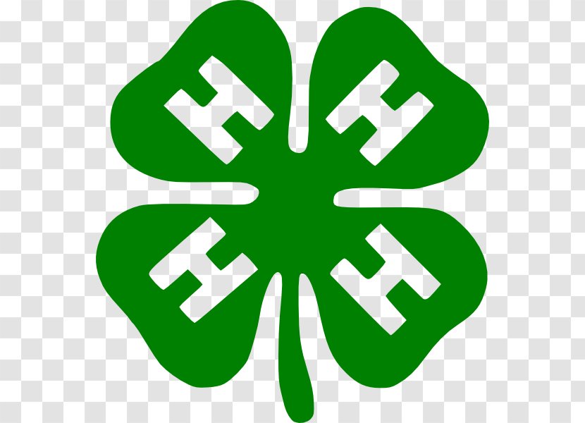 4-H Learning-by-doing Organization Positive Youth Development - Tree - Leprechaun Hat Transparent PNG