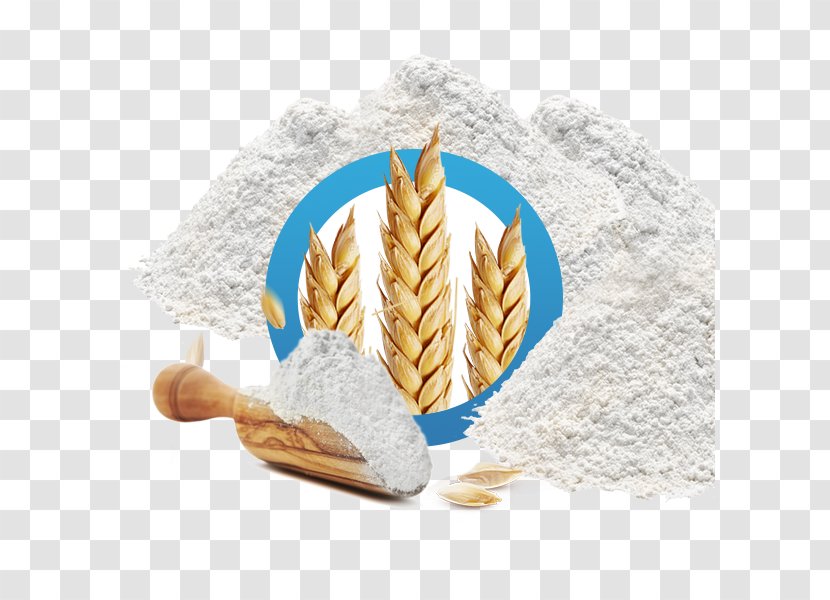 Wheat Flour - Food Transparent PNG