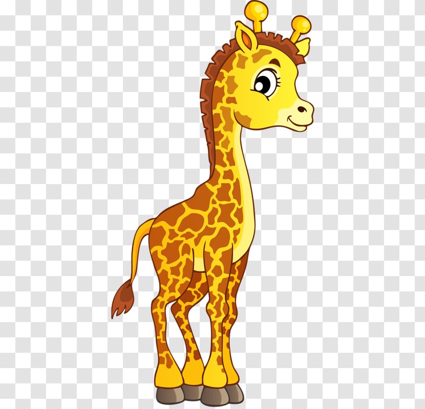 Northern Giraffe About Giraffes Animal Coloring Book Clip Art - Cartoon Transparent PNG