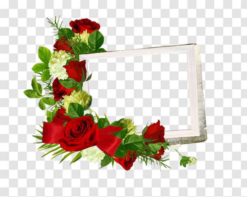 Garden Roses Picture Frames Image - Rose Order Transparent PNG