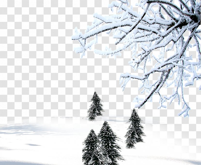 Winter Snow Download Computer File - Background Material Transparent PNG