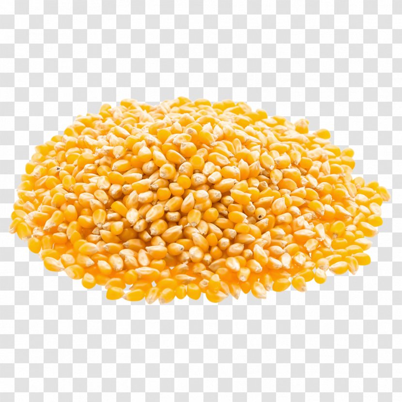 Popcorn Organic Food Maize Cereal - Bean - Corn Transparent PNG