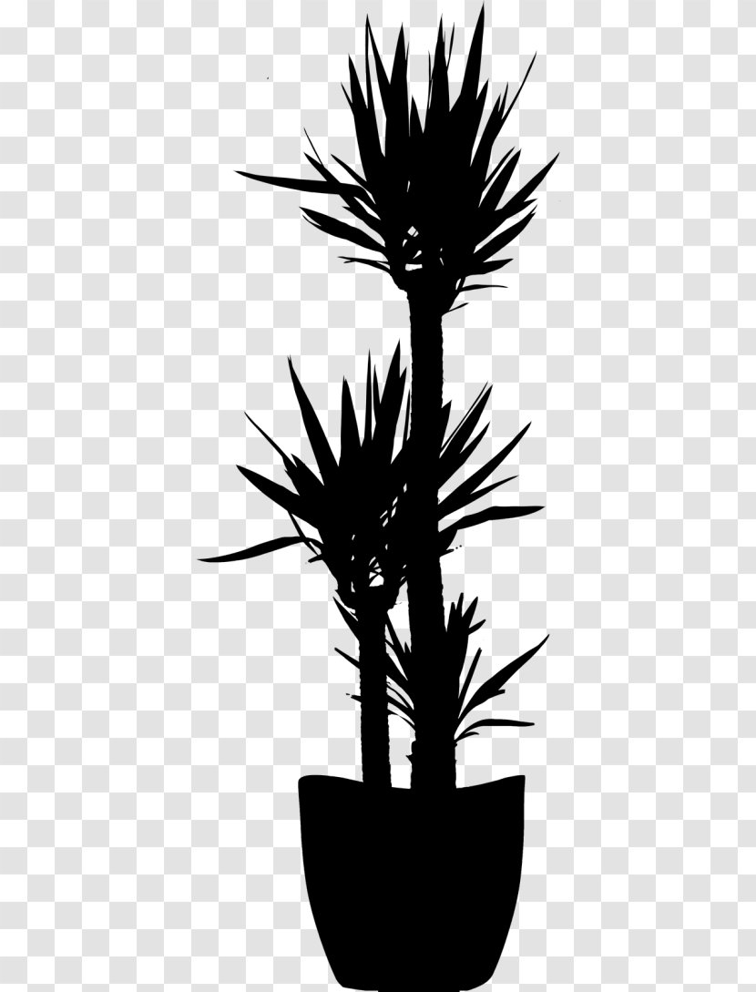 Palm Trees Flower Plant Stem Silhouette Plants - Tree - Houseplant Transparent PNG