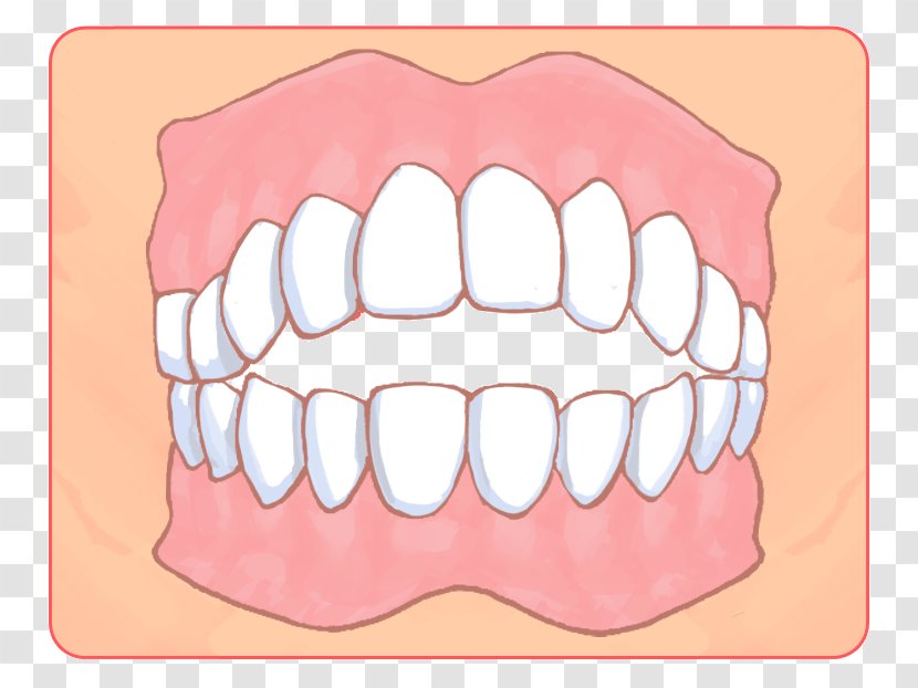 矯正歯科 Dental Braces Dentist Dentition Therapy - Cartoon - Shin Transparent PNG