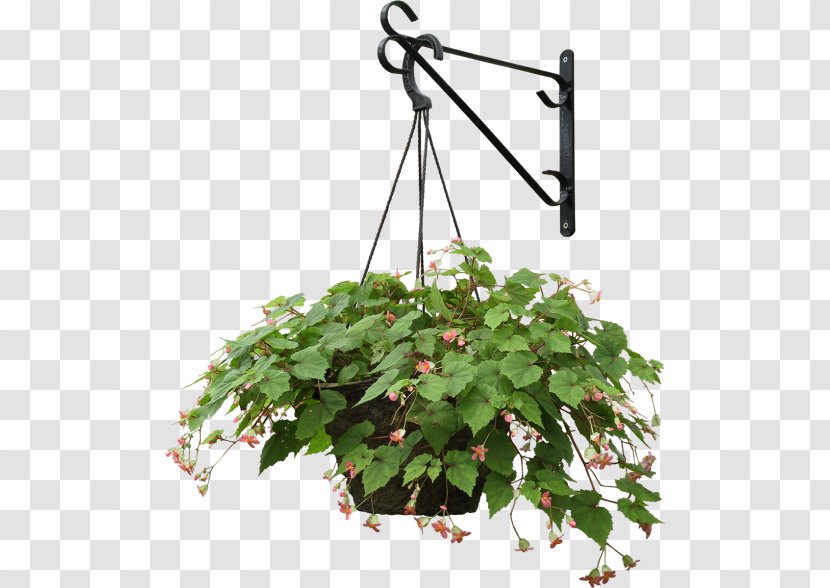 Plants Hanging Basket Clip Art Tree - Houseplant - tree Transparent PNG