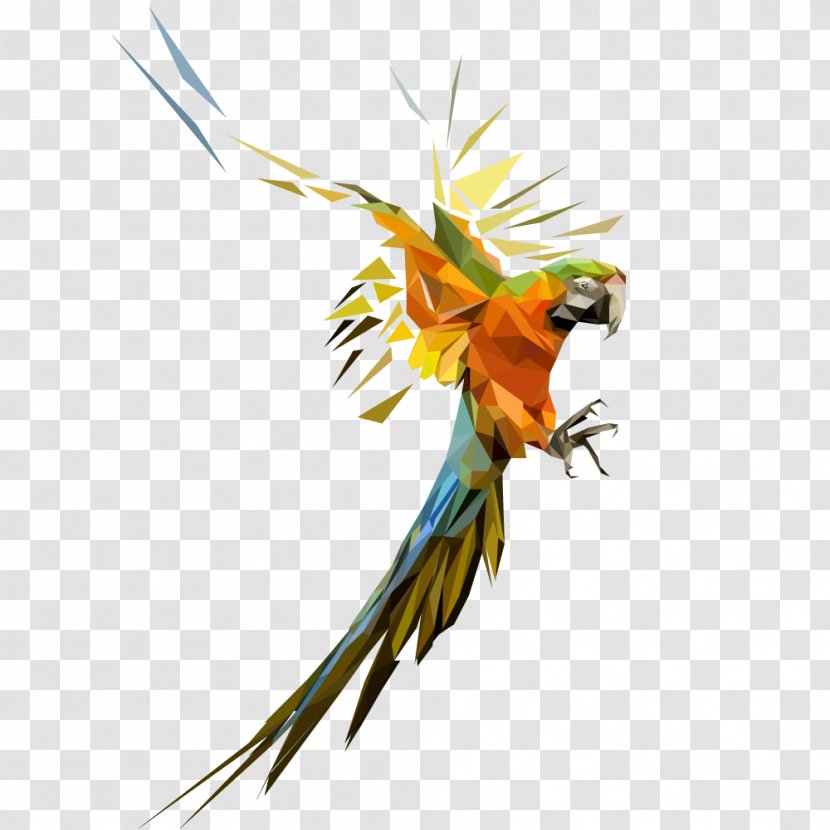 Bird Parrot Geometry Parakeet - Tail - Polygonal Transparent PNG