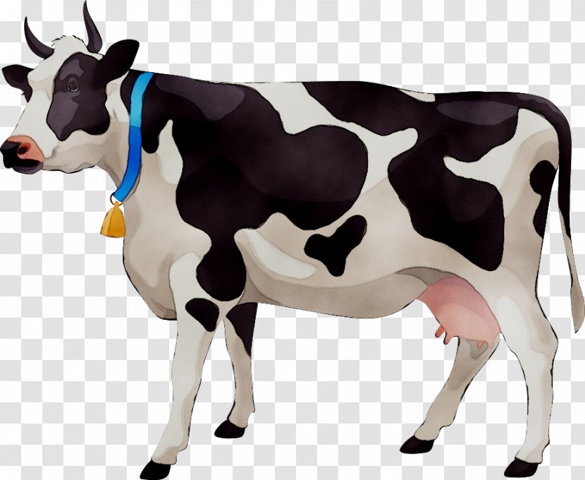 Cattle Vector Graphics Stock Photography Clip Art Illustration - Dairy Cow - Animal Figure Transparent PNG