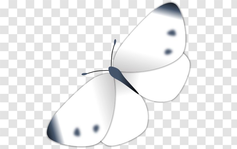 Butterfly Product Design Clip Art - Black And White Transparent PNG