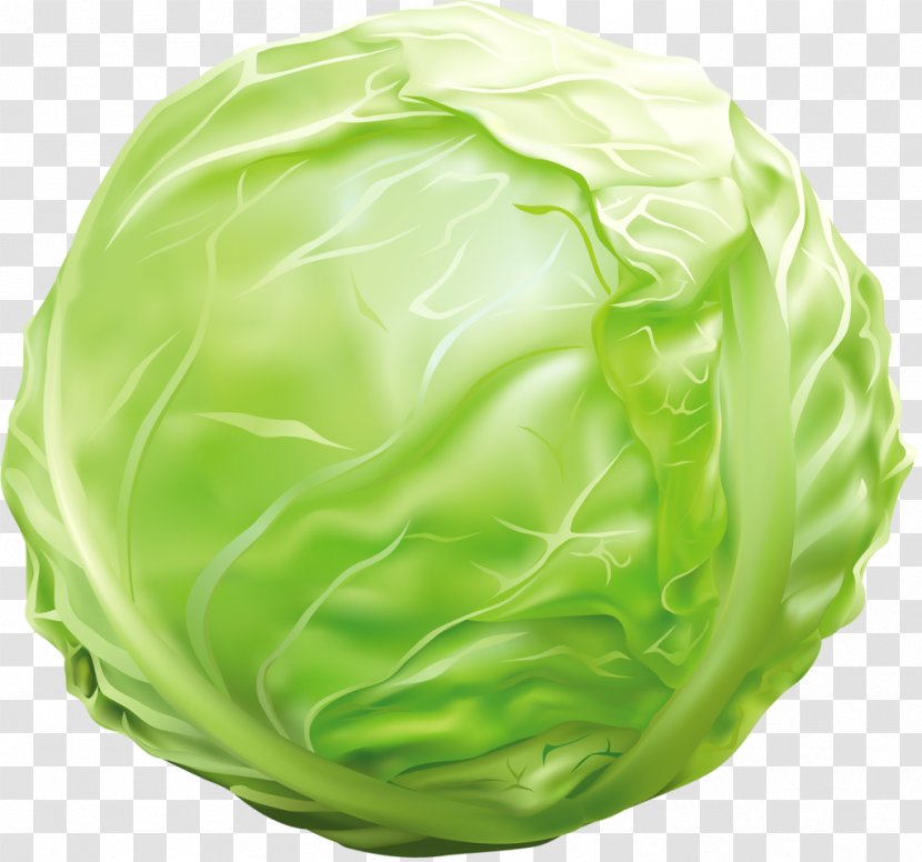 Vegetarian Cuisine Clip Art Cabbage Roll Vegetable - Green - California Cherries Transparent PNG
